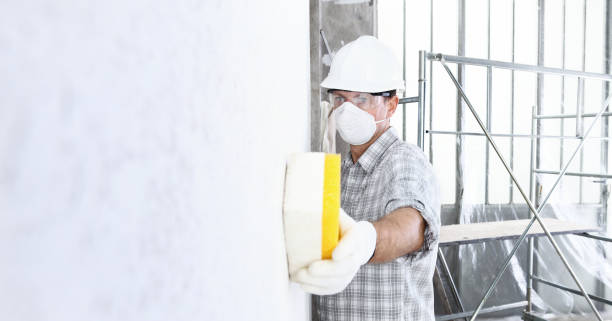 Best Asbestos and Lead Testing During Mold Inspection  in Clayton, GA