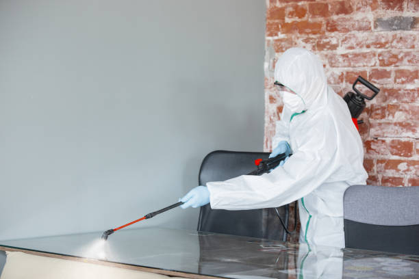 Best Mold Removal for HVAC Installations  in Clayton, GA