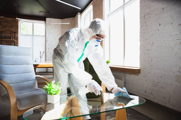 Reliable Clayton, GA Mold Removal & Remediation Solutions