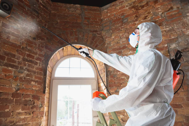 Best Biohazard Mold Removal  in Clayton, GA